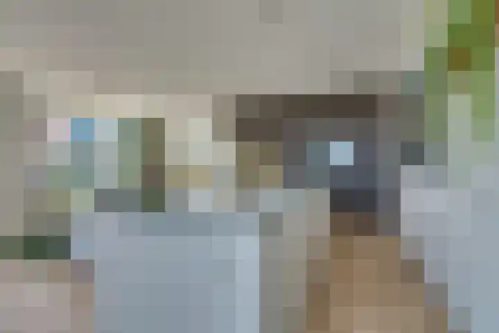 Bundlaan 262 Amsterdam thumbnail 9