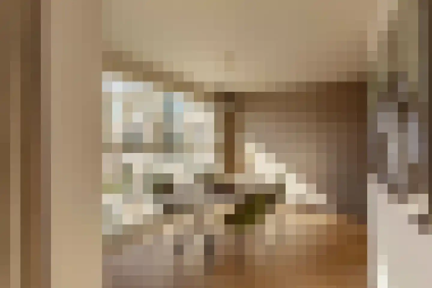 Bundlaan 268 Amsterdam thumbnail 10
