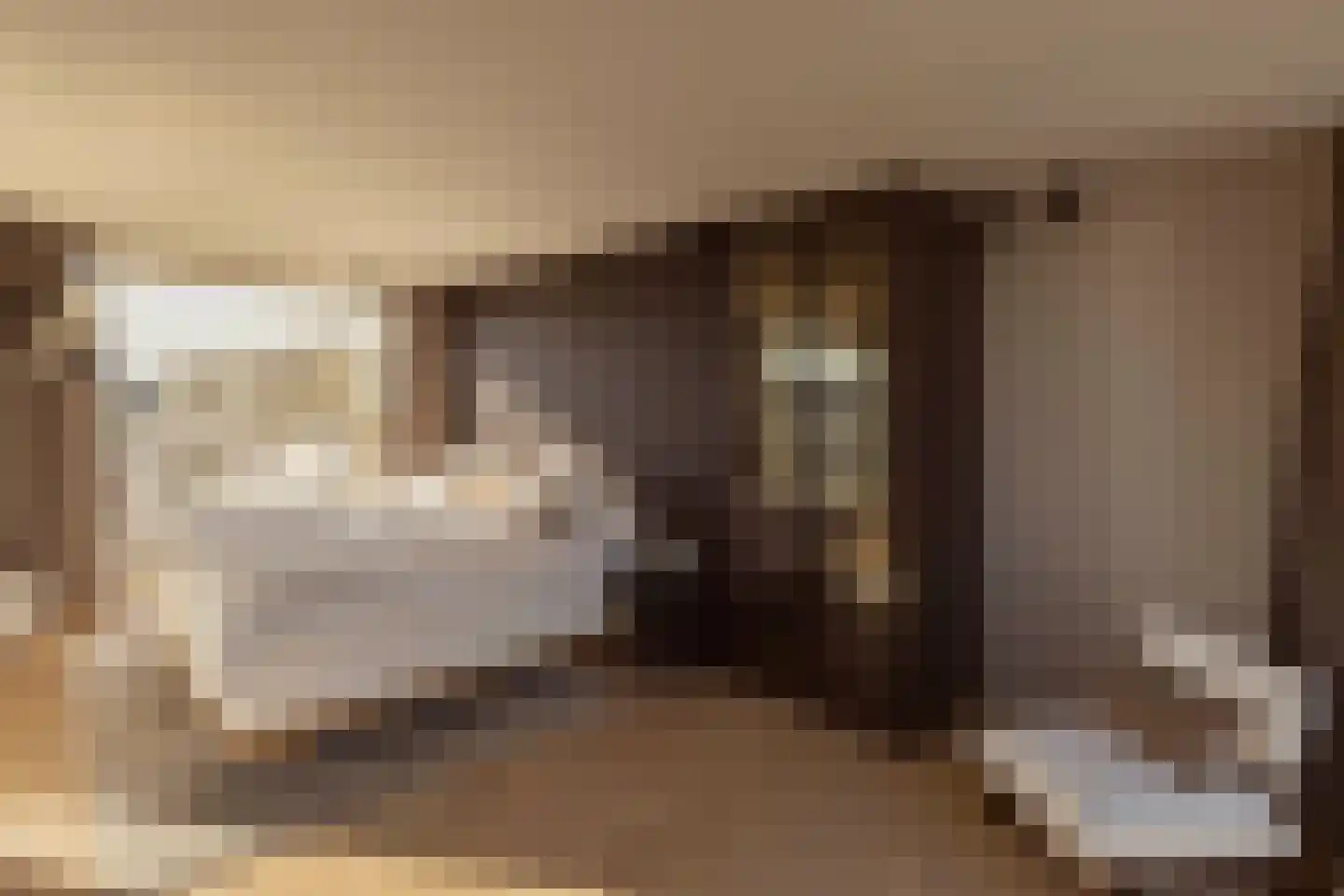 Bundlaan 268 Amsterdam thumbnail 16