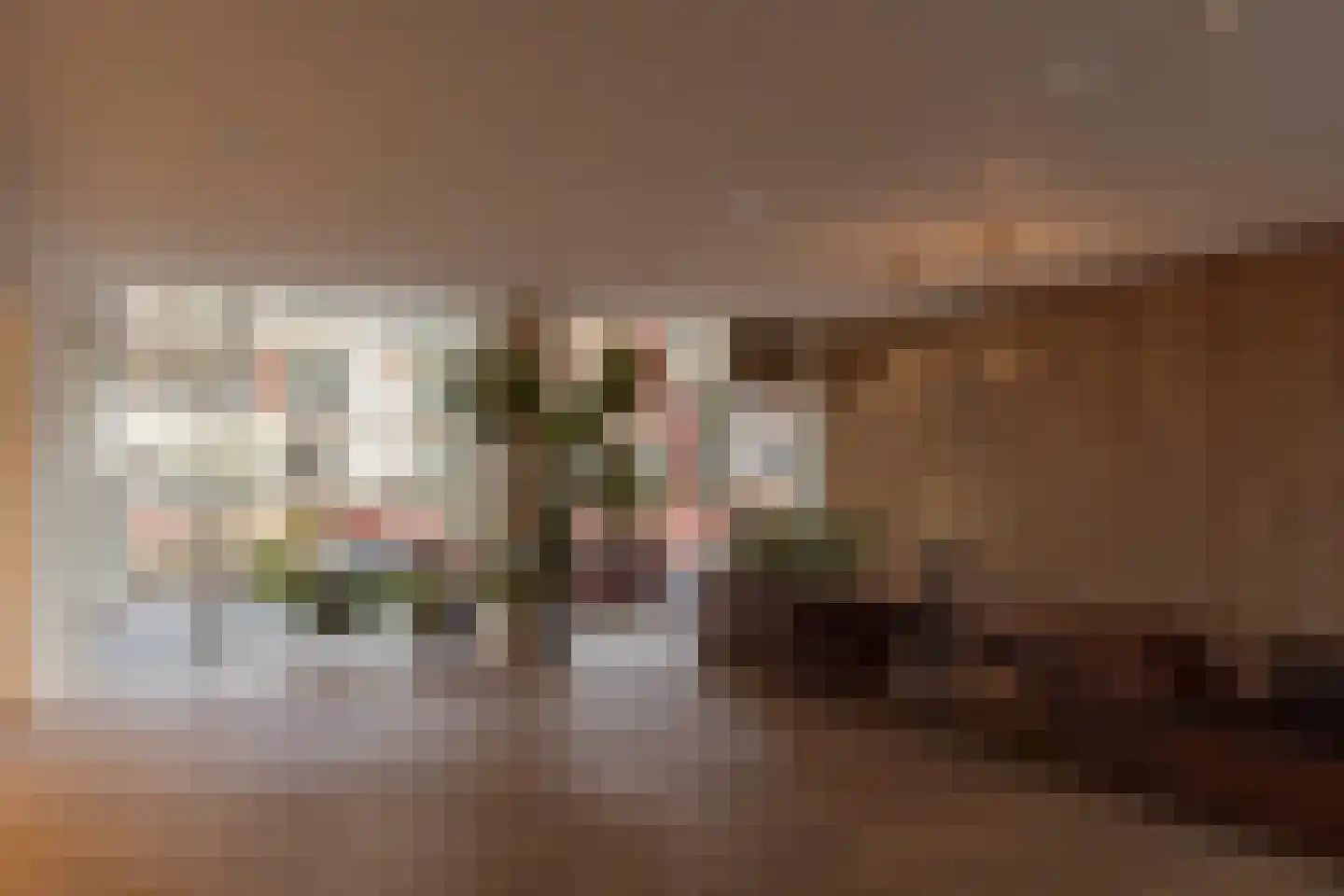 Bundlaan 268 Amsterdam thumbnail 23