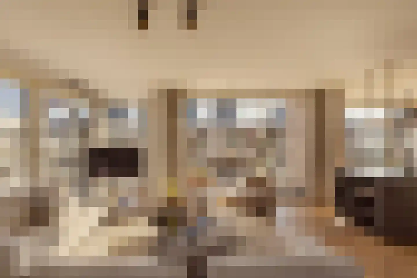 Bundlaan 268 Amsterdam thumbnail 5