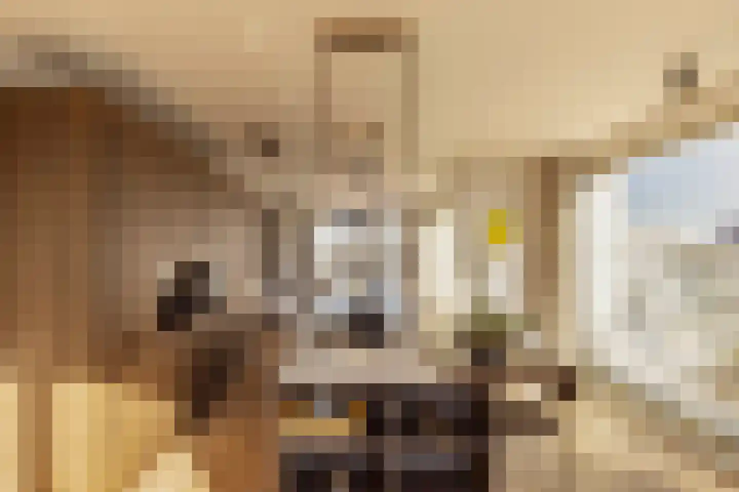 Bundlaan 268 Amsterdam thumbnail 8