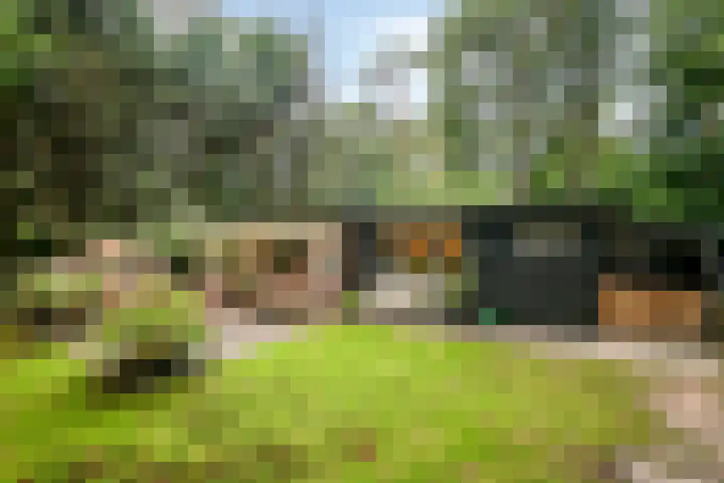 Bungalowpark 122 in Doldersum