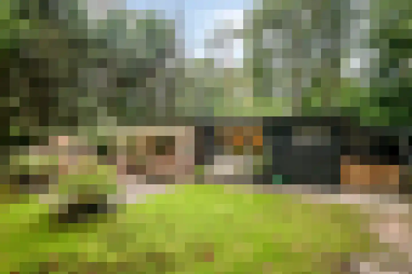 Bungalowpark 122 in Doldersum