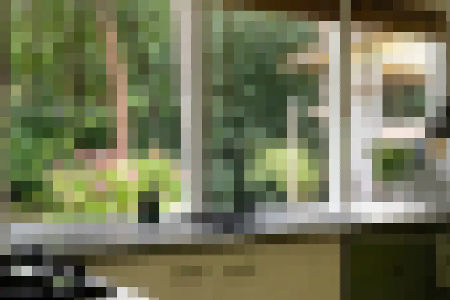 Bungalowpark 122 Doldersum thumbnail 16