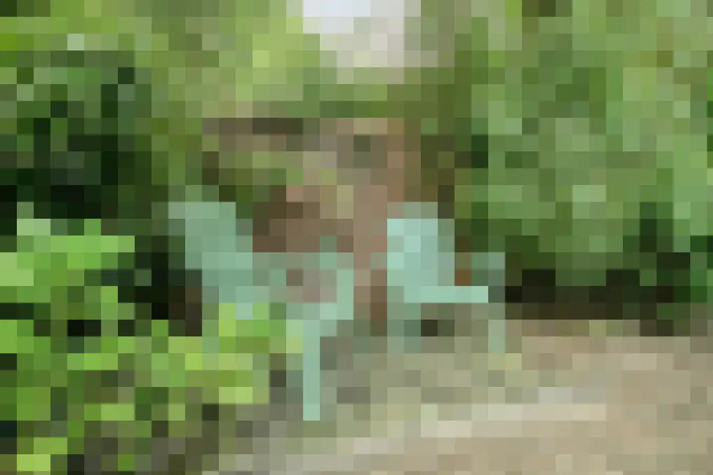 Bungalowpark 122 Doldersum thumbnail 26