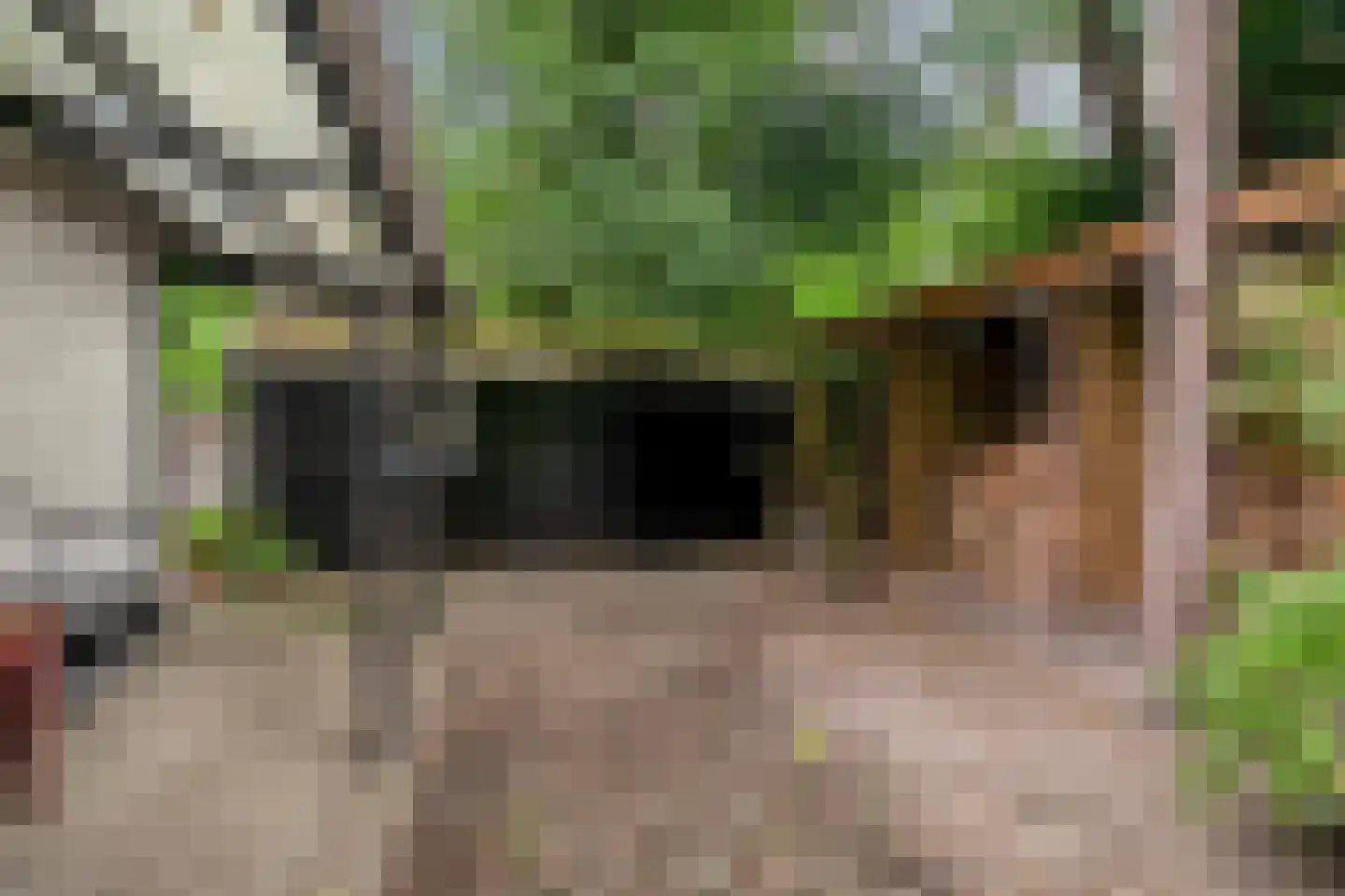 Bungalowpark 122 Doldersum thumbnail 29