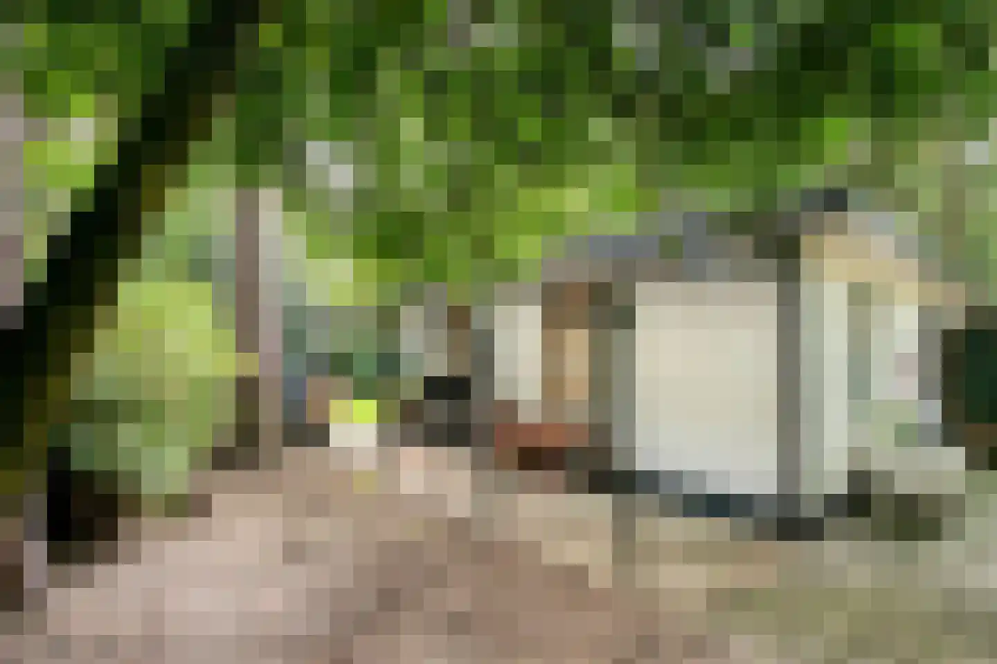 Bungalowpark 122 Doldersum thumbnail 30