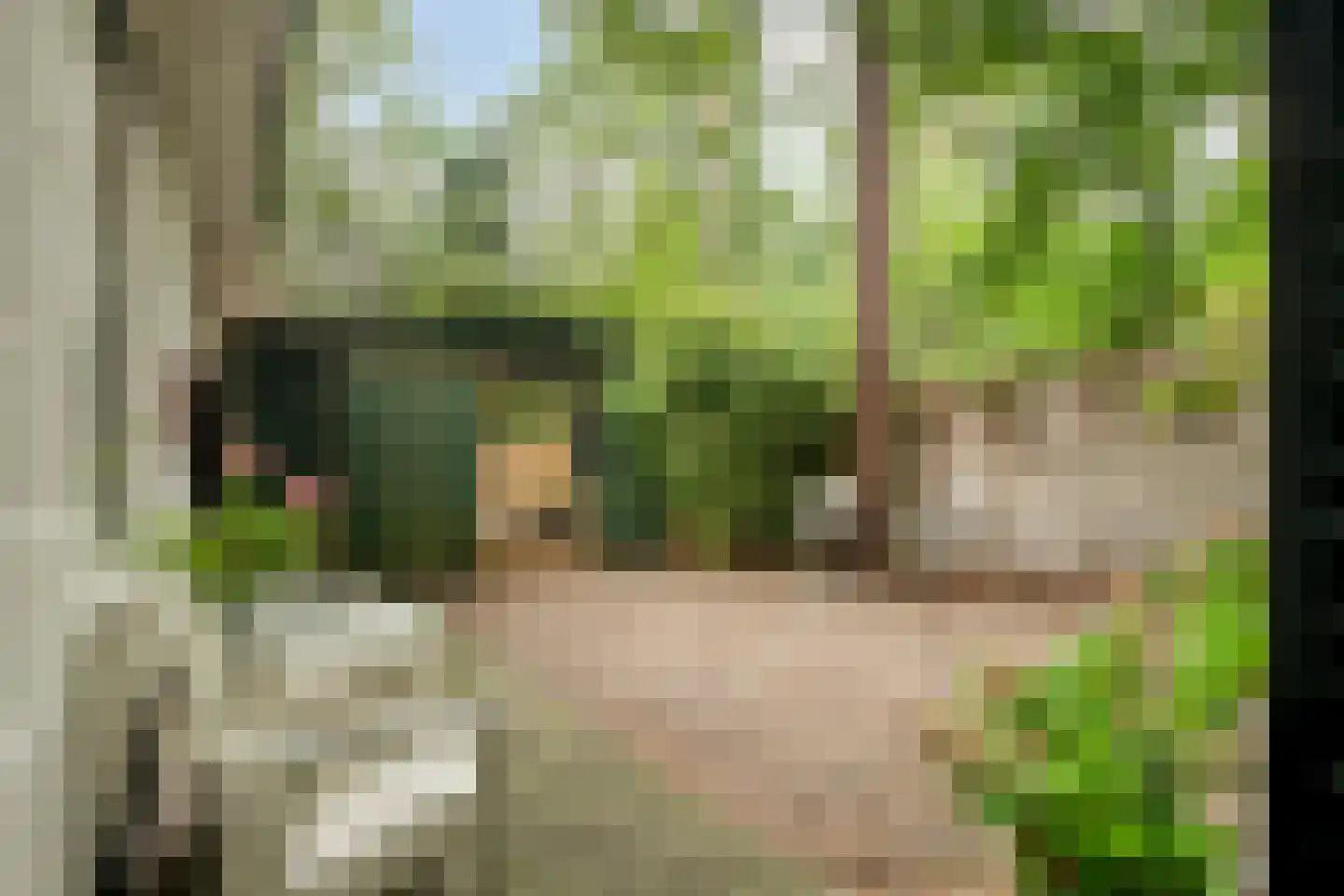 Bungalowpark 122 Doldersum thumbnail 31