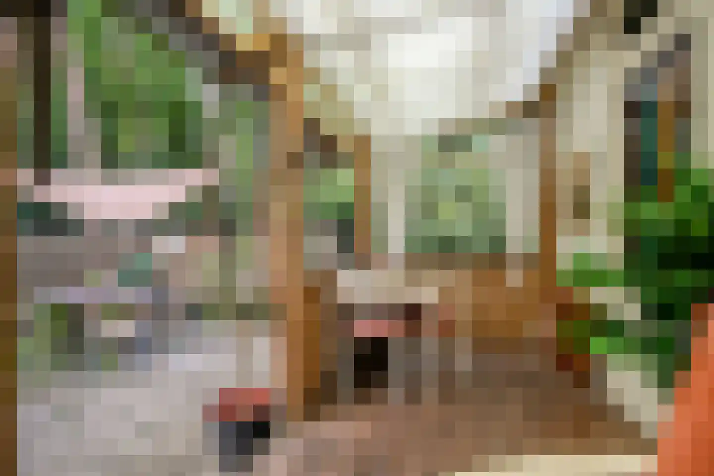 Bungalowpark 122 Doldersum thumbnail 36