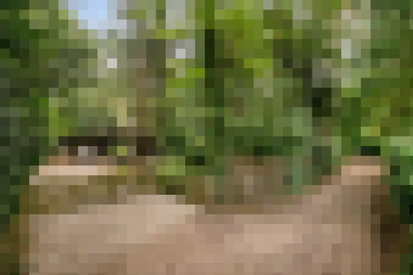 Bungalowpark 122 Doldersum thumbnail 38