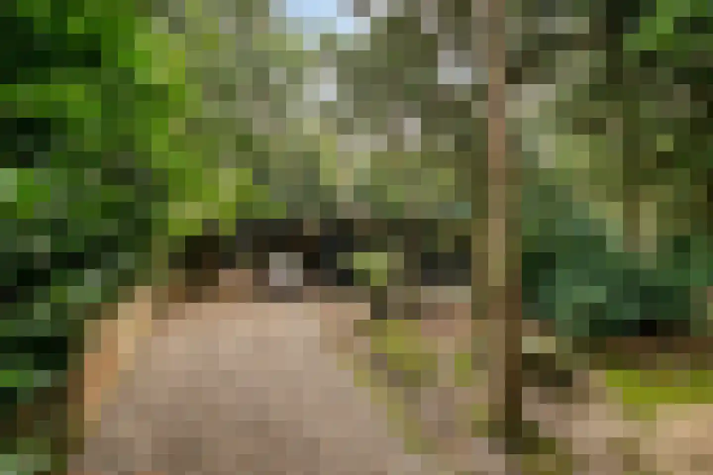 Bungalowpark 122 Doldersum thumbnail 39