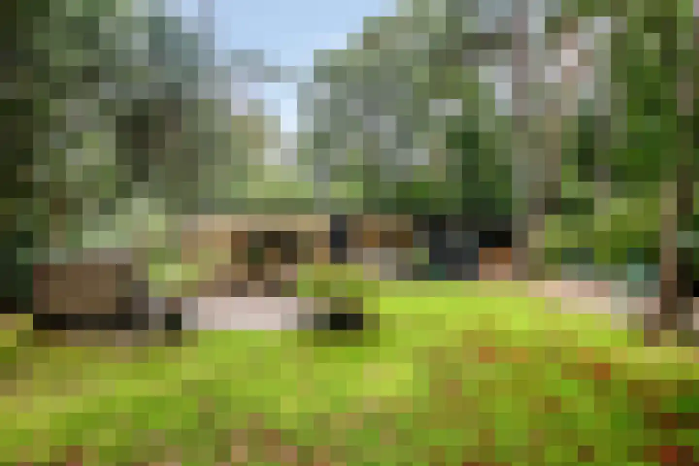 Bungalowpark 122 Doldersum thumbnail 41