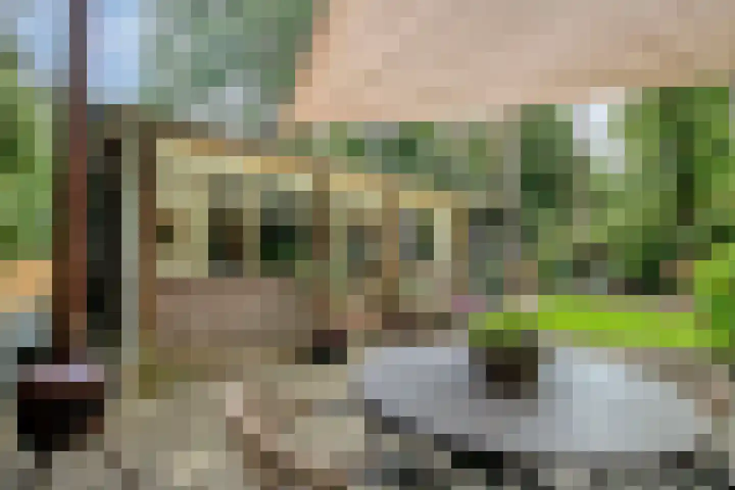 Bungalowpark 122 Doldersum thumbnail 6