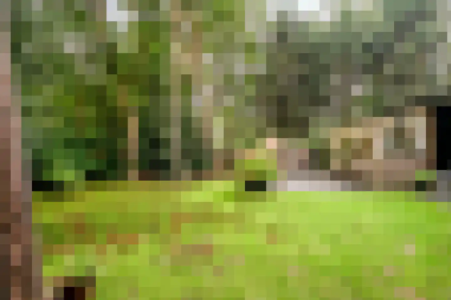 Bungalowpark 122 Doldersum thumbnail 7
