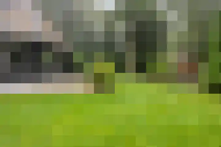 Bungalowpark 142 Doldersum thumbnail 24