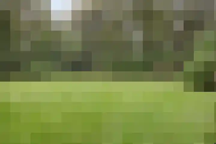 Bungalowpark 142 Doldersum thumbnail 26