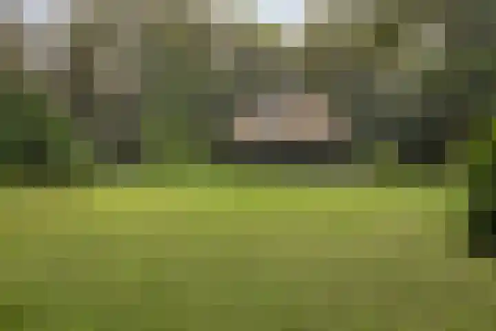 Bungalowpark 142 Doldersum thumbnail 27