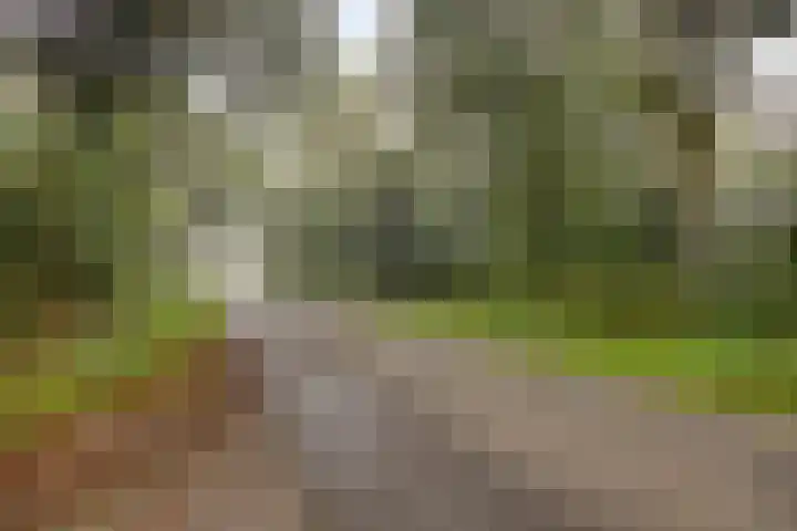 Bungalowpark 142 Doldersum thumbnail 32