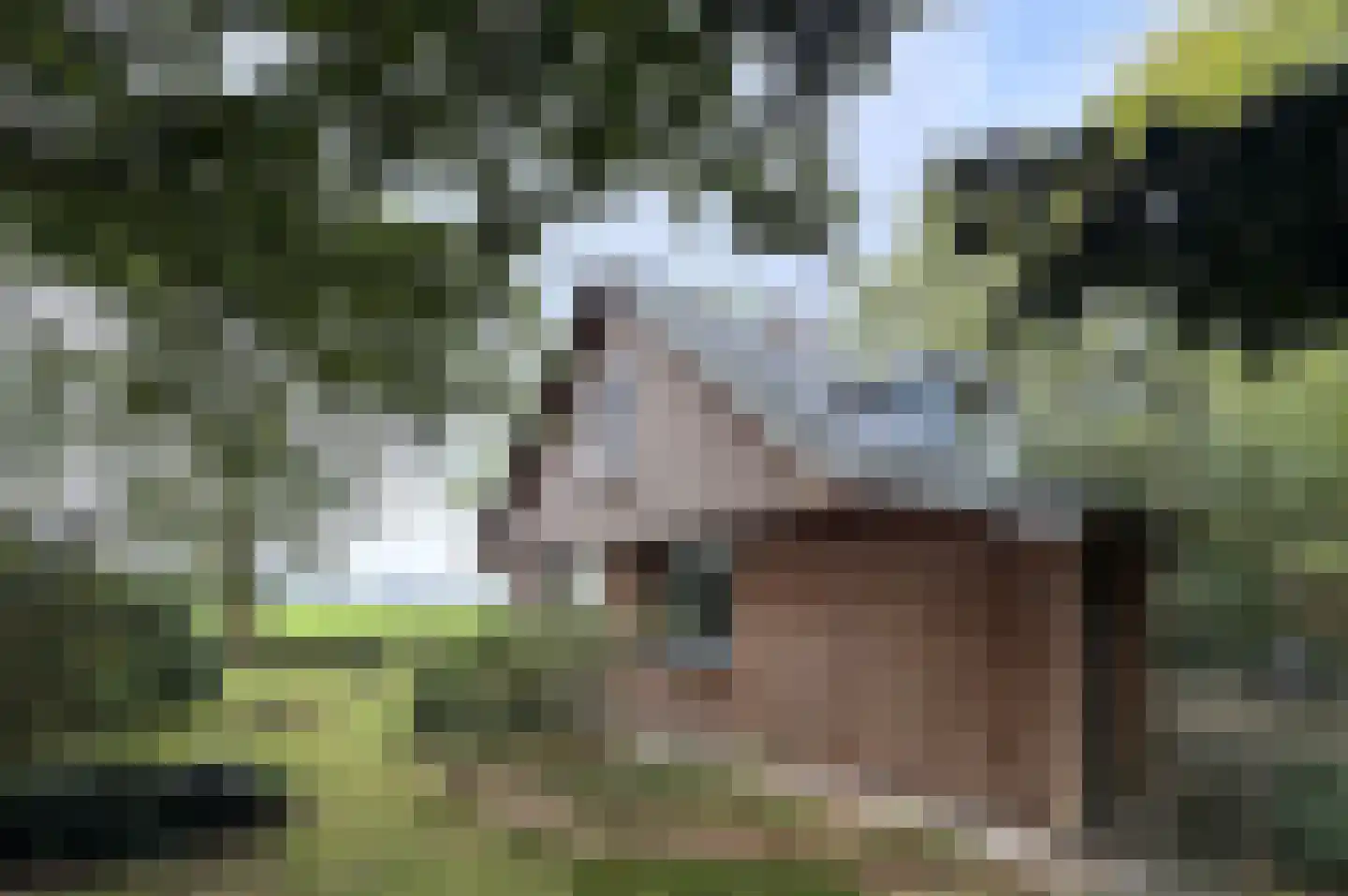 Bungalowpark 151 Doldersum thumbnail 10