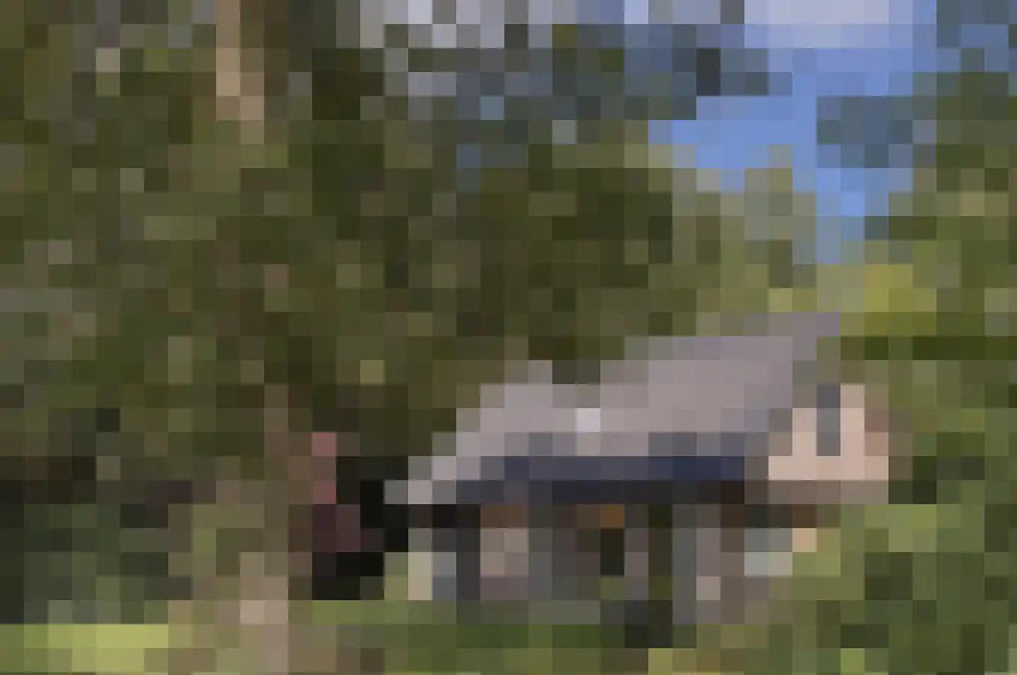 Bungalowpark 151 Doldersum thumbnail 34