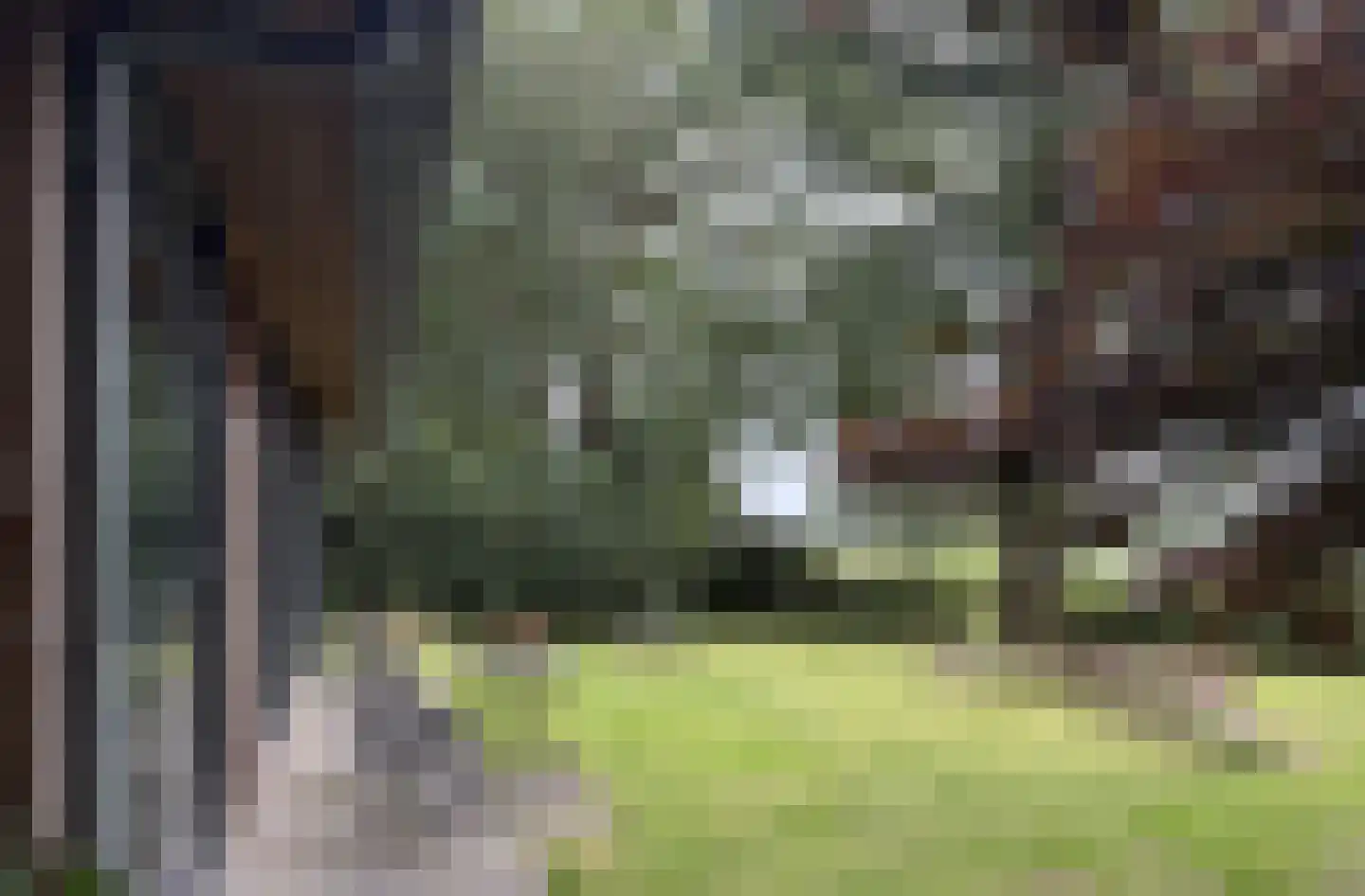 Bungalowpark 151 Doldersum thumbnail 36