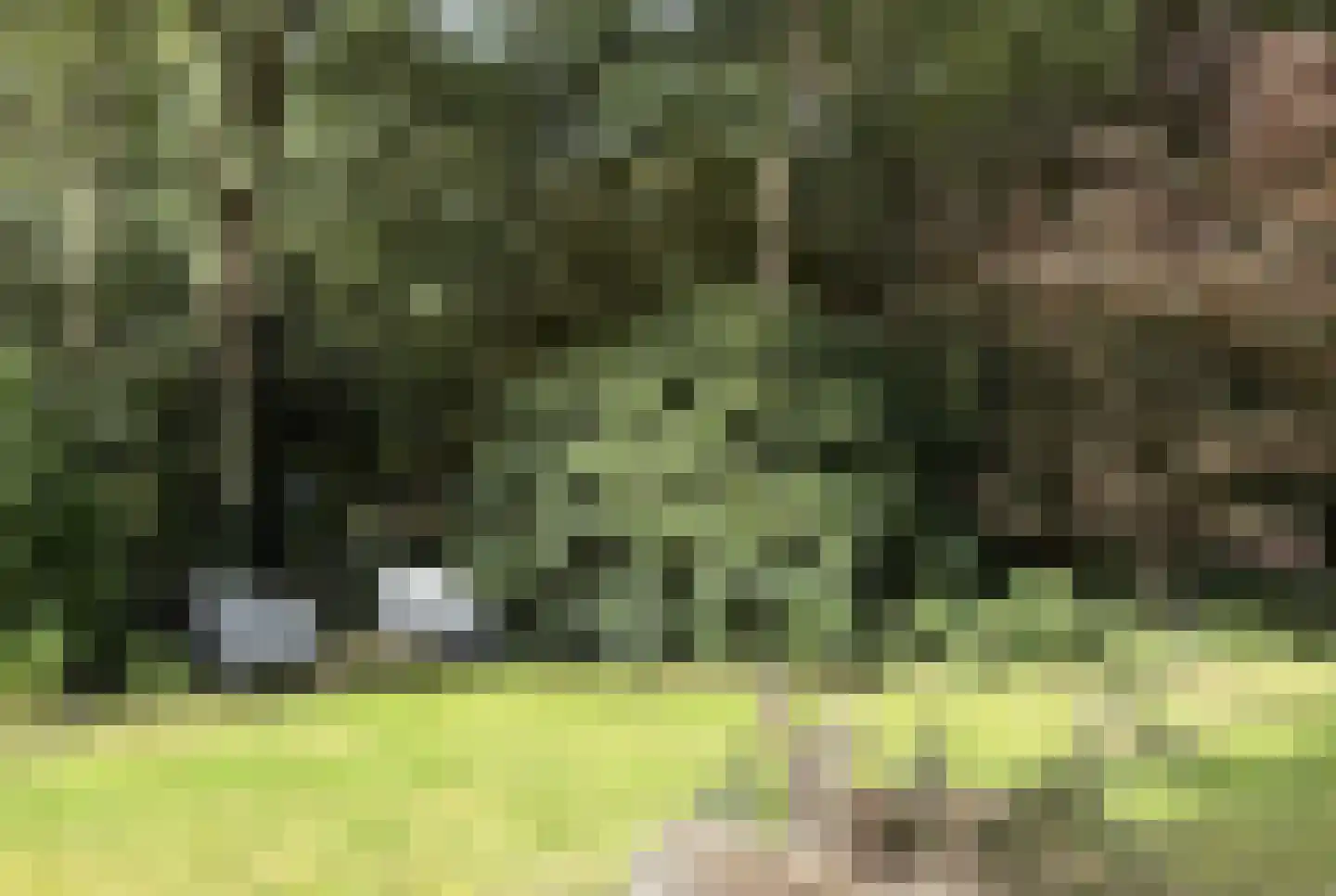 Bungalowpark 151 Doldersum thumbnail 38