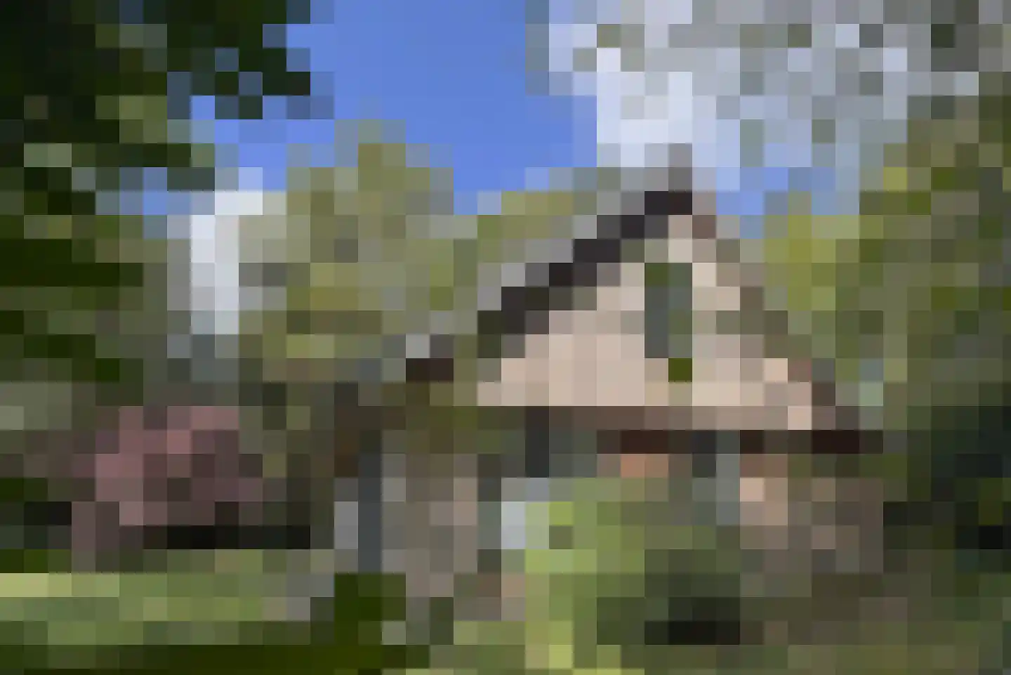 Bungalowpark 151 Doldersum thumbnail 40