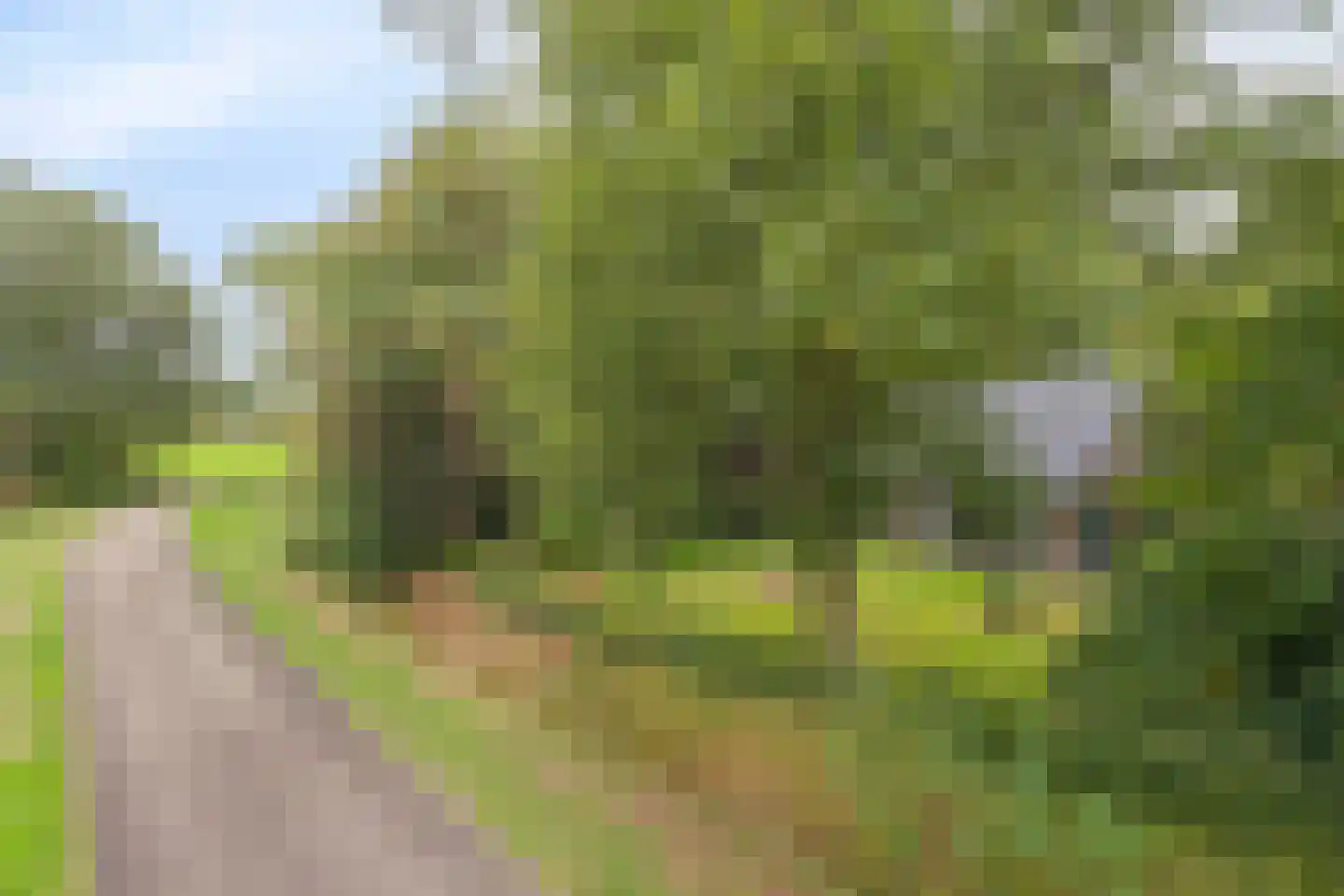 Bungalowpark 151 Doldersum thumbnail 43