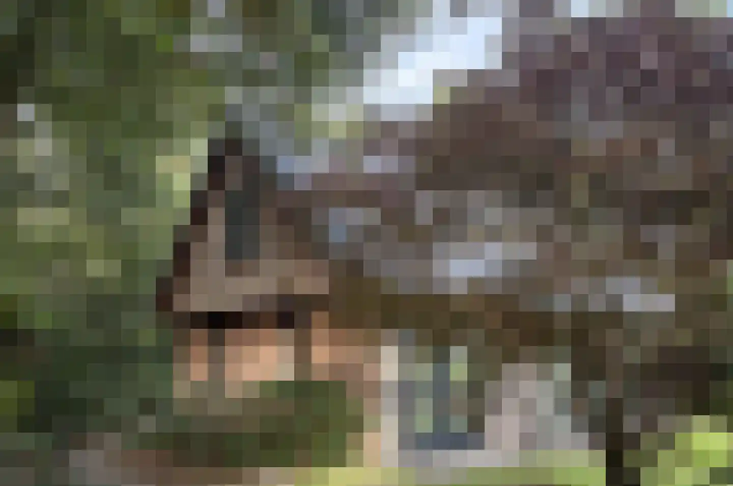Bungalowpark 151 Doldersum thumbnail 7