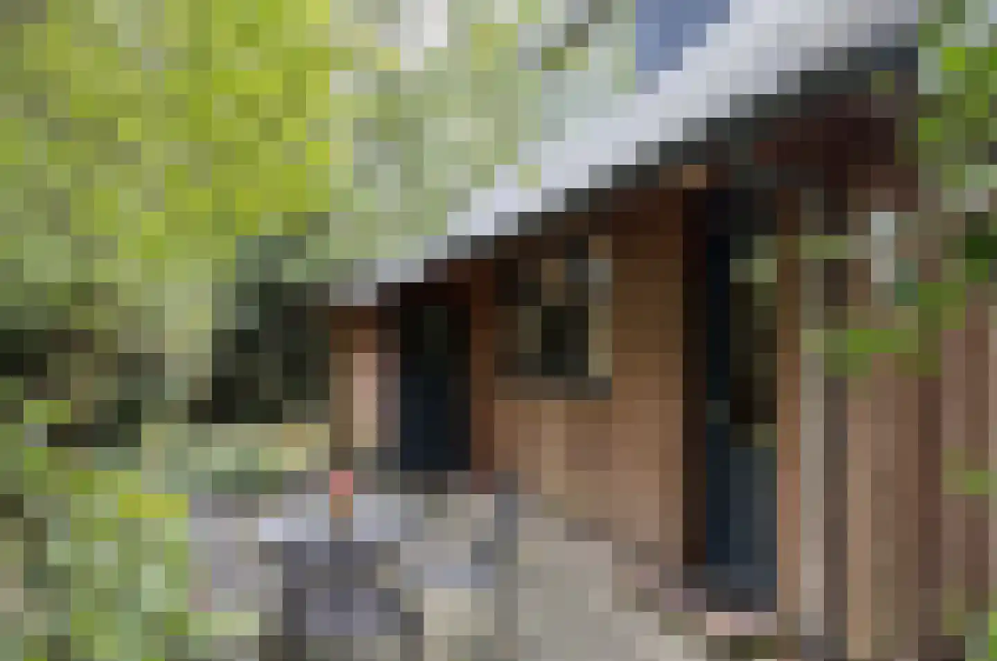 Bungalowpark 151 Doldersum thumbnail 8