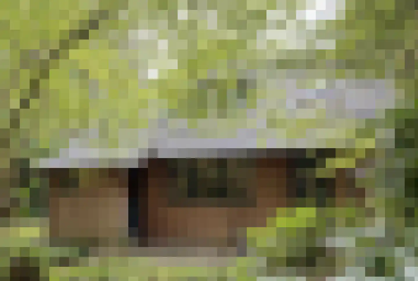Bungalowpark 151 Doldersum thumbnail 9