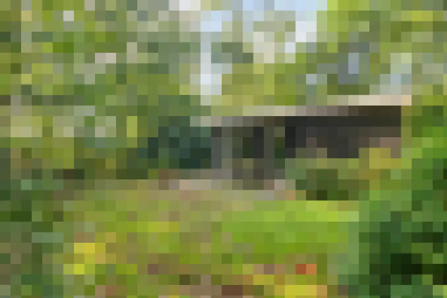 Bungalowpark 40 Doldersum thumbnail 26
