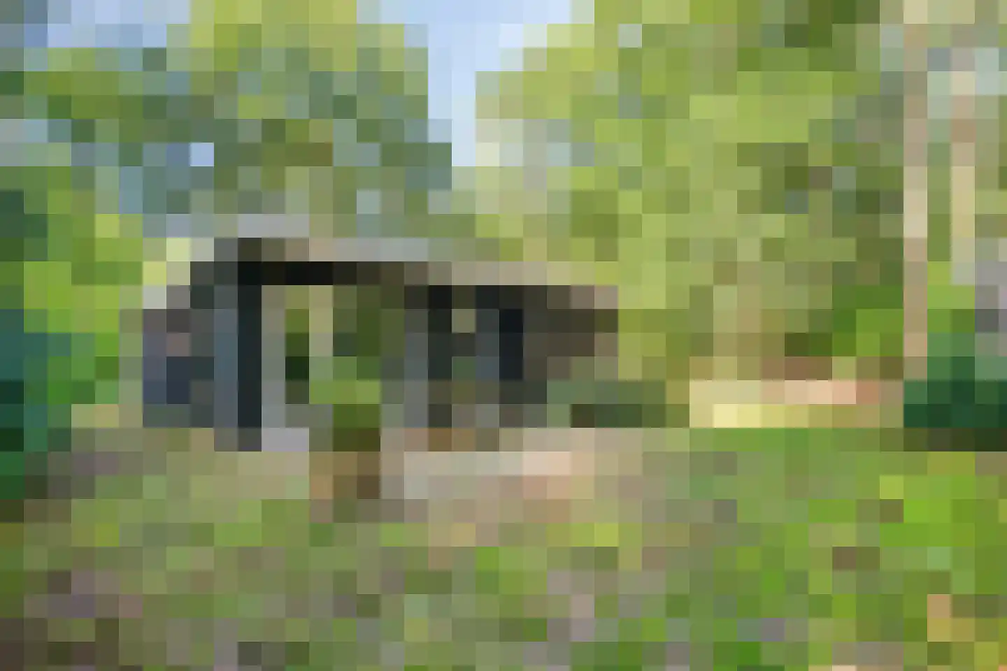 Bungalowpark 40 Doldersum thumbnail 28