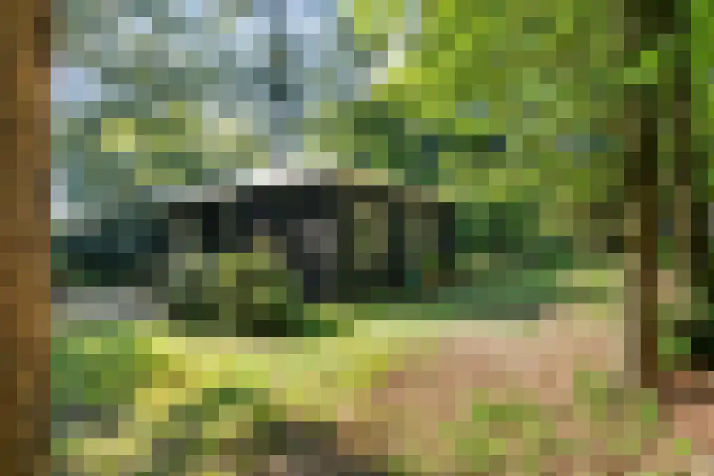Bungalowpark 40 Doldersum thumbnail 30