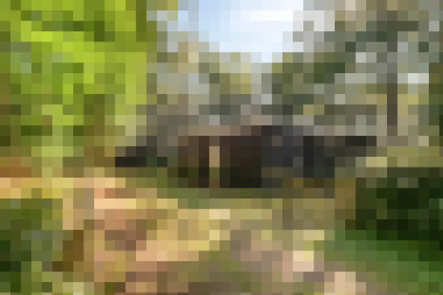 Bungalowpark 40 Doldersum thumbnail 32