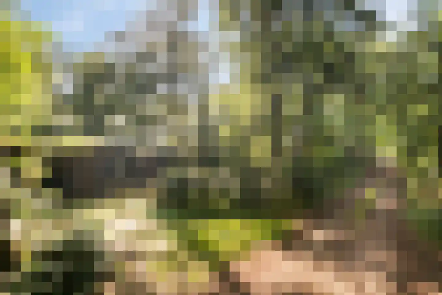 Bungalowpark 40 Doldersum thumbnail 33