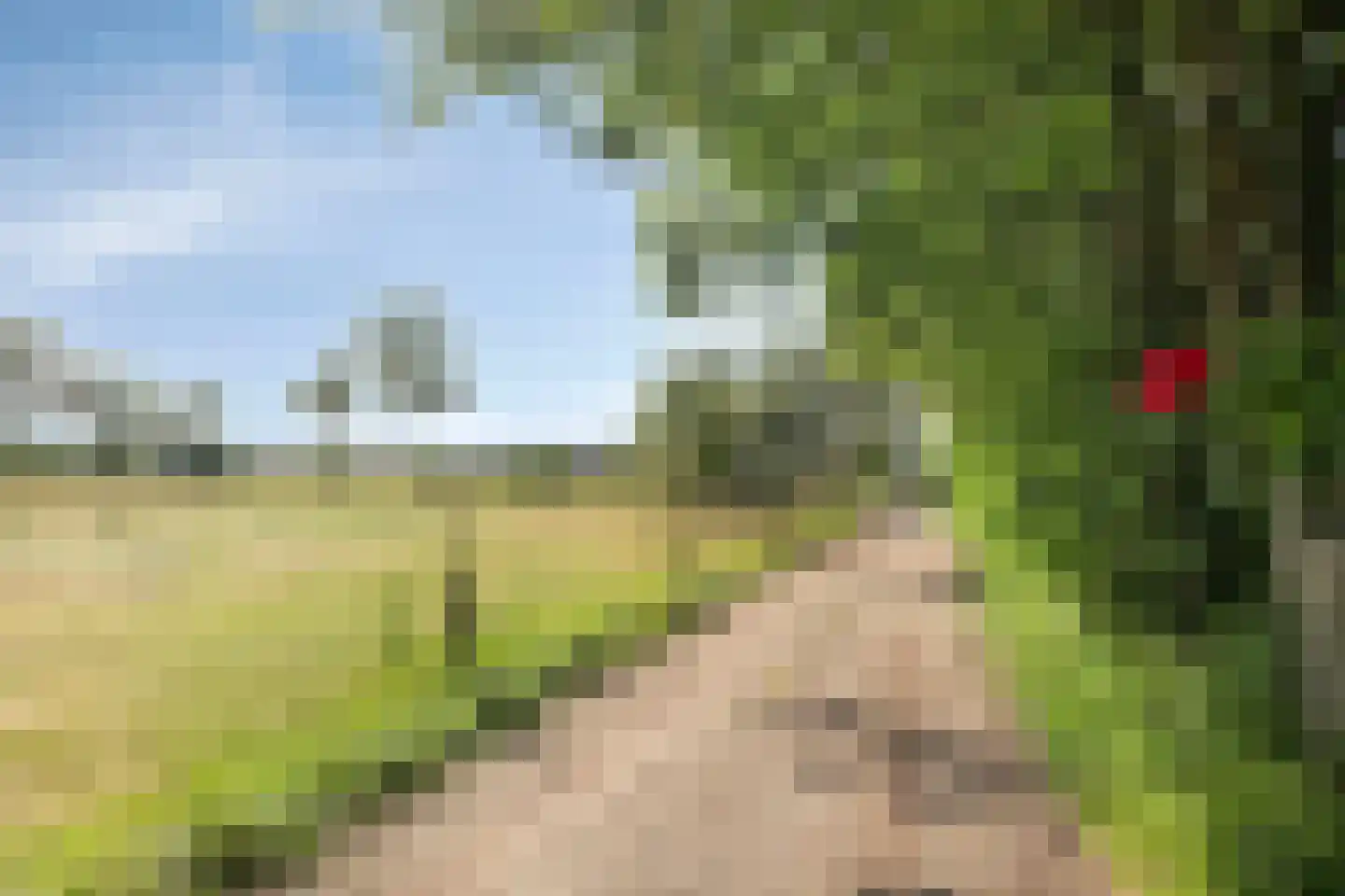 Bungalowpark 40 Doldersum thumbnail 34