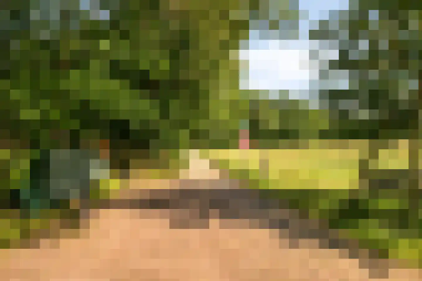 Bungalowpark 40 Doldersum thumbnail 36