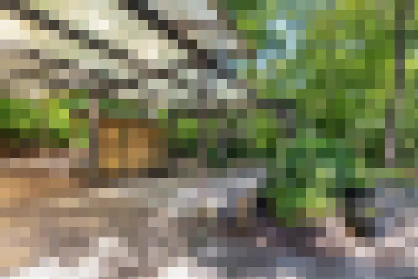 Bungalowpark 42 Doldersum thumbnail 26