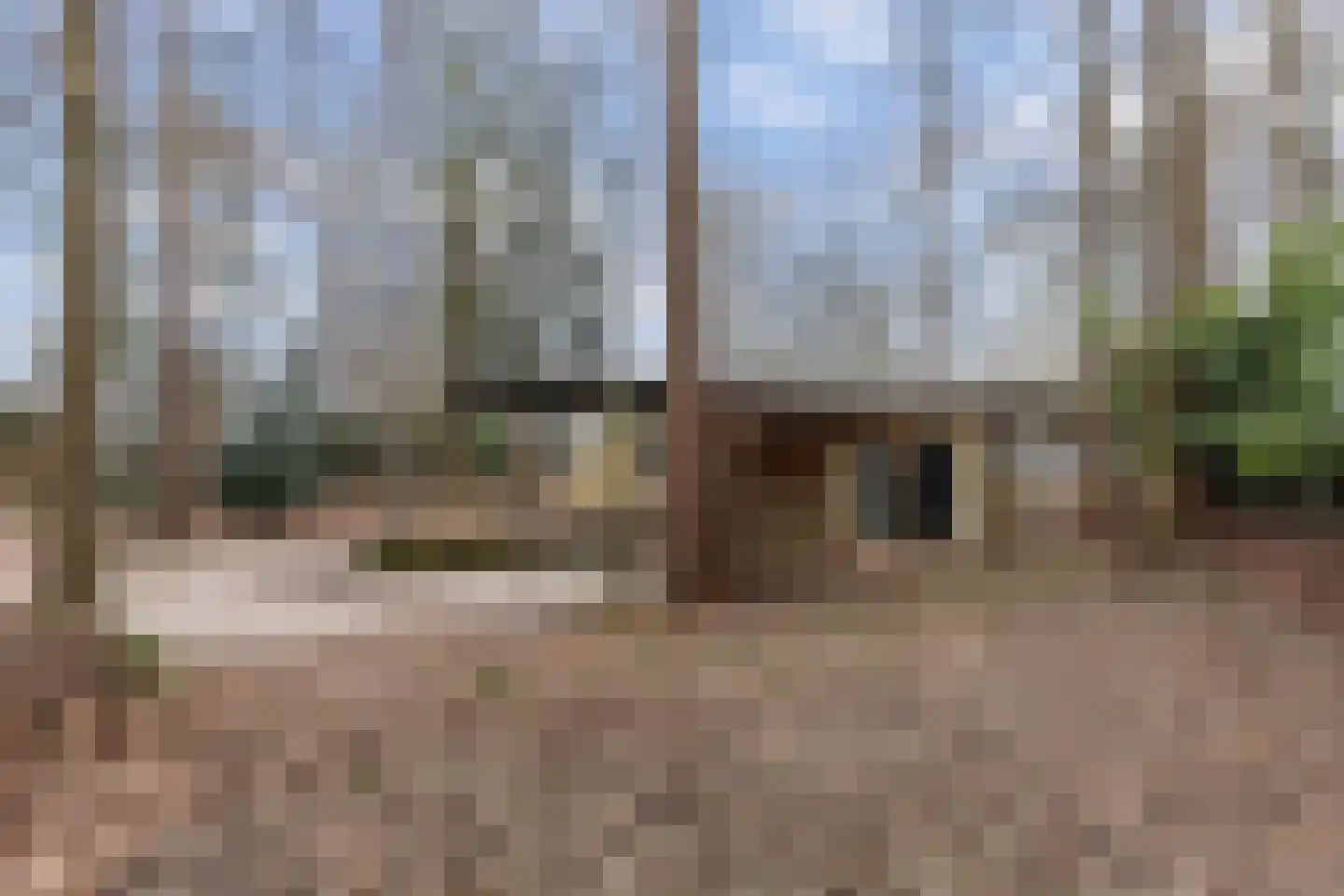 Bungalowpark 42 Doldersum thumbnail 26