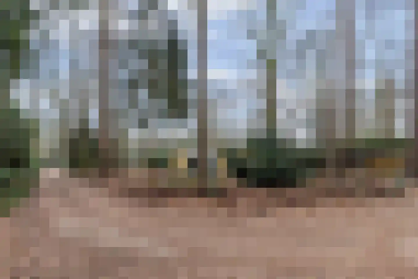 Bungalowpark 42 Doldersum thumbnail 27