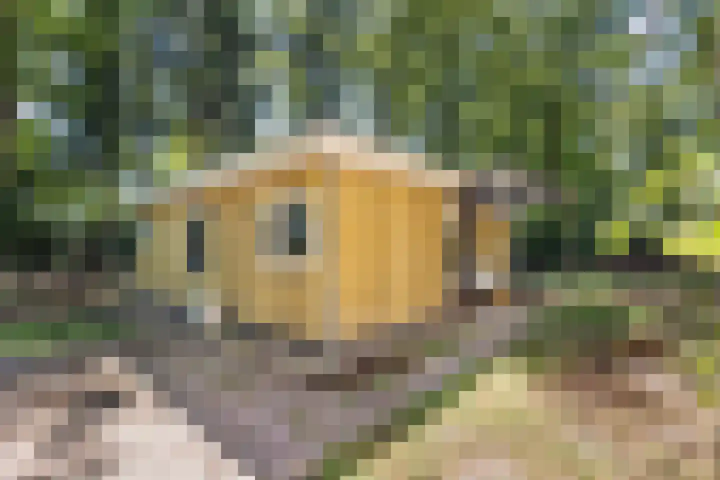 Bungalowpark 42 Doldersum thumbnail 28