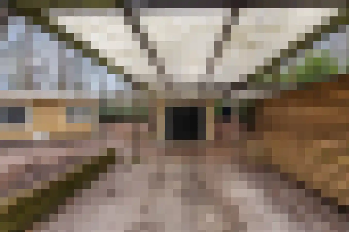 Bungalowpark 42 Doldersum thumbnail 29