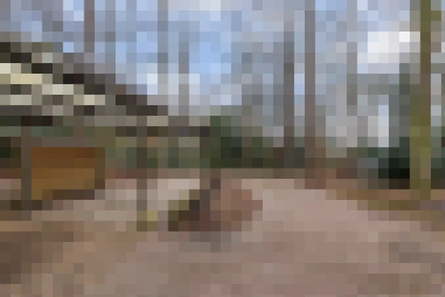 Bungalowpark 42 Doldersum thumbnail 31
