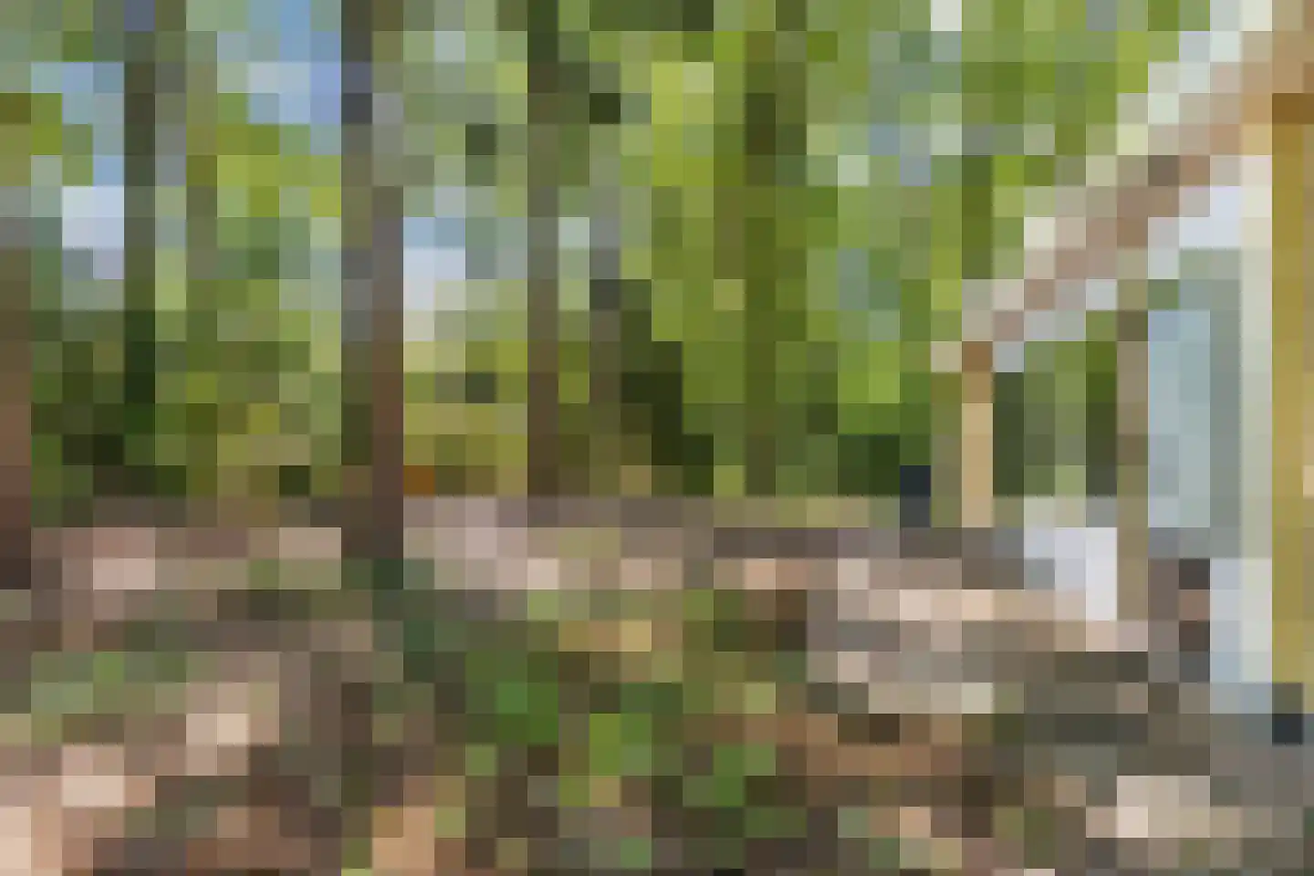 Bungalowpark 42 Doldersum thumbnail 32