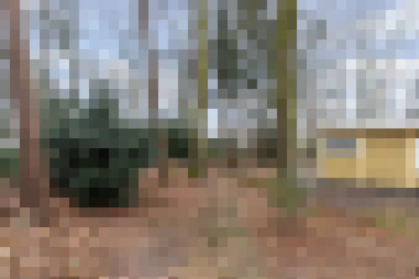 Bungalowpark 42 Doldersum thumbnail 33