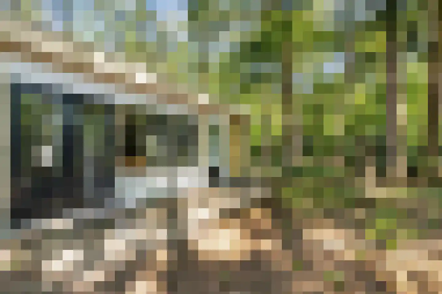 Bungalowpark 42 Doldersum thumbnail 33