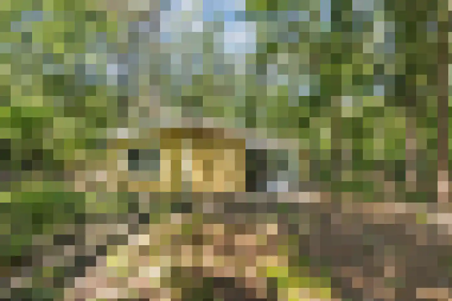 Bungalowpark 42 Doldersum thumbnail 34