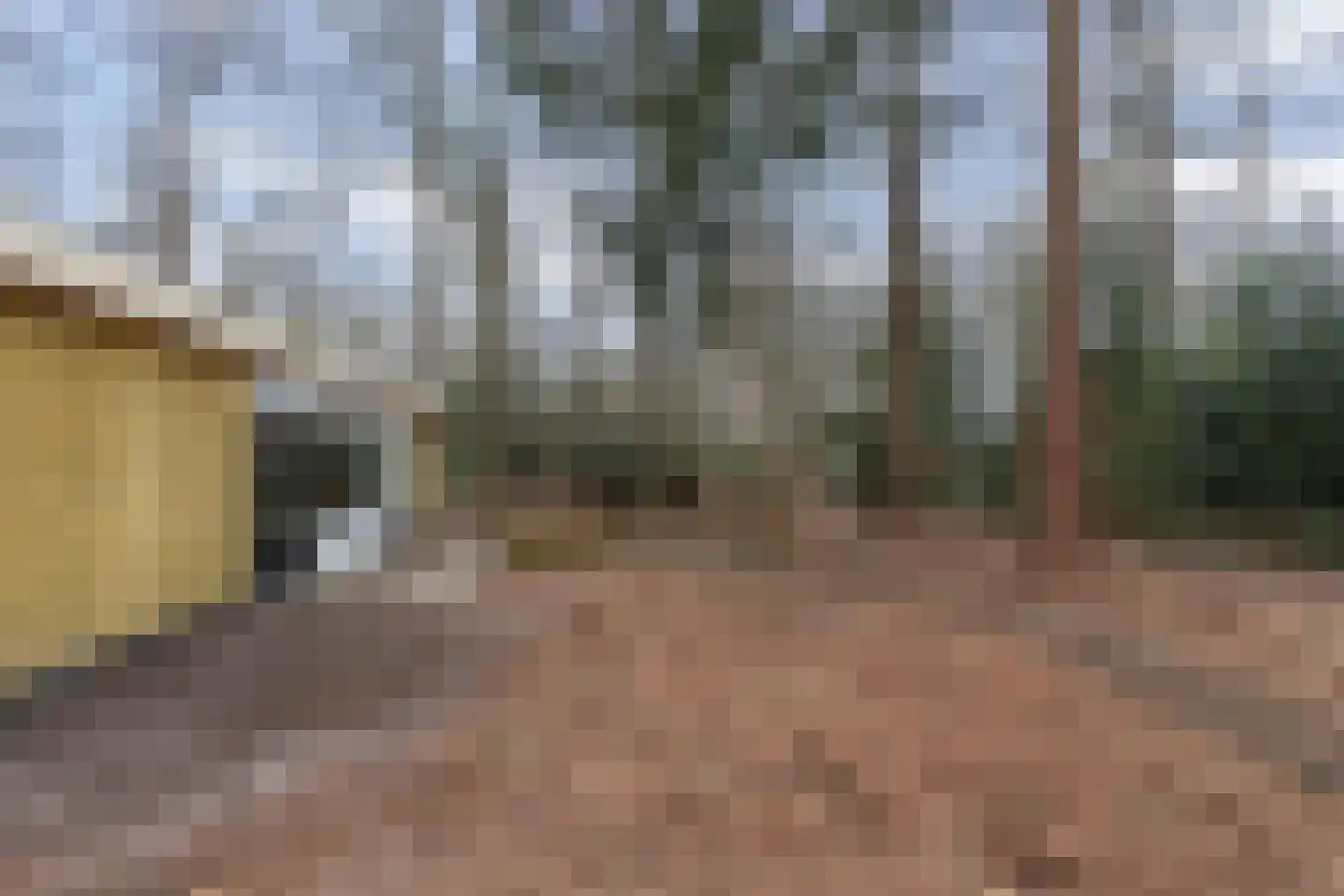 Bungalowpark 42 Doldersum thumbnail 35